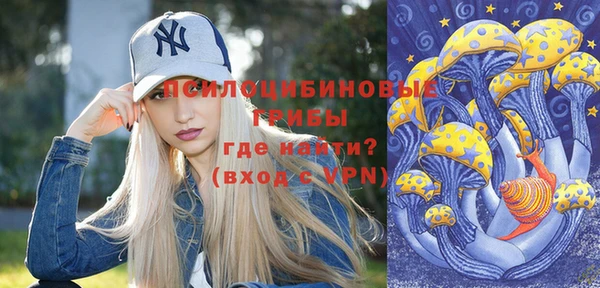 apvp Абаза